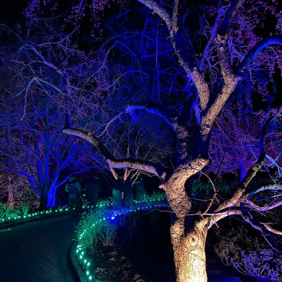 Meet your Posher, Lauren - Picture 2 of 2